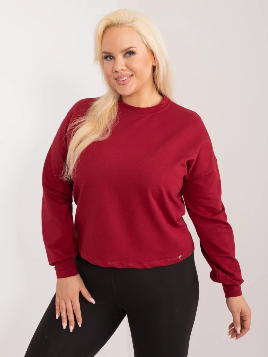 pol_pl_Bordowa-bluza-plus-size-Florentia-363108_3.jpg